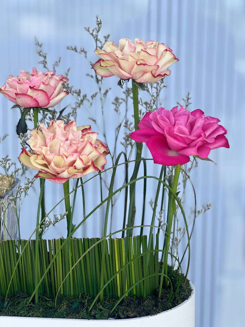 Blooming Gift