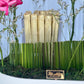Blooming Gift