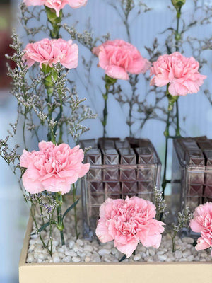 Carnation Crème