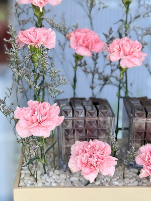 Carnation Crème