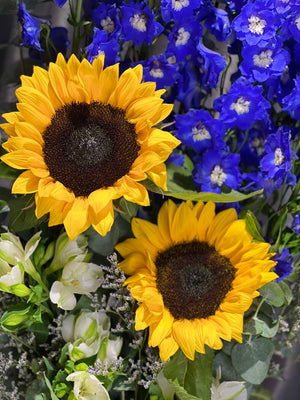 Sunny Delight