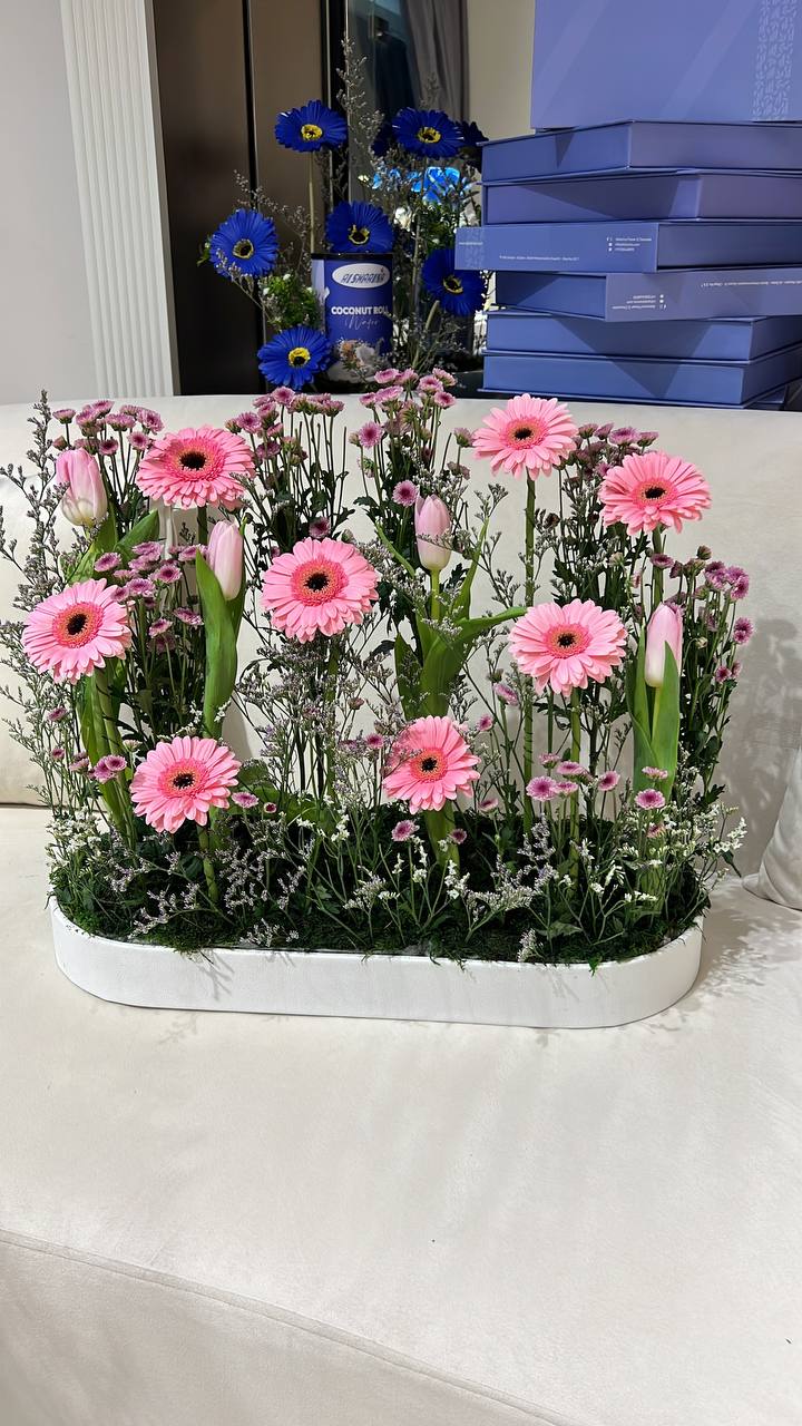 miracle garden